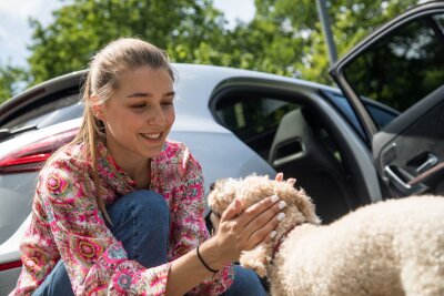 Checkliste: 7 Punkte für einen entspannten Urlaub mit Hund - Warum überhaupt Urlaub mit Hund? Der Hund ist für viele ein vollwertiges Familienmitglied.