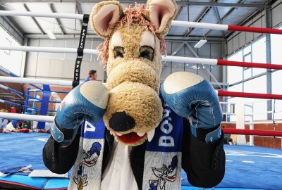 Chemnitzer Boxer sind wieder zu Hause: Sanierte Athletikhalle im Sportforum offiziell übergeben - Gut gelaunt dabei: Der Boxwolf, das Maskottchen des Boxclubs Chemnitz. Foto: Knut Berger