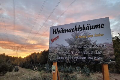 weihnachtsbaumkaufenwaldwittgensdorfadventweihnachtsbrauchtraditionfamilienunternehmenchristbaum