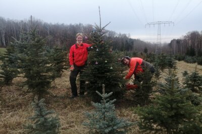 weihnachtsbäumekaufenforstdienstforstwirtgartenlandschaftsbaufraumannweihnachten