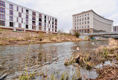 "Cleanitz": Deshalb ruft die Stadt Chemnitz dazu auf, Müll aus dem Kappelbach zu sammeln - Die Stadt Chemnitz lädt zu einer Clean-up-Aktion am 14. September ein. Foto: Steffi Hofmann