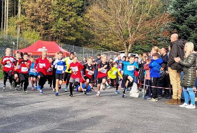 Crossläufer starten in Gelenau in die neue Saison - In einigen Altersklassen war der Andrang so groß, dass es am Start Stürze gab. Foto: Verein