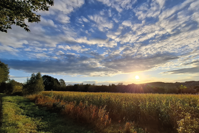 Weitwinkelaufnahme von einem Feldweg mit leicht bewölktem Himmel und Sonnenuntergang