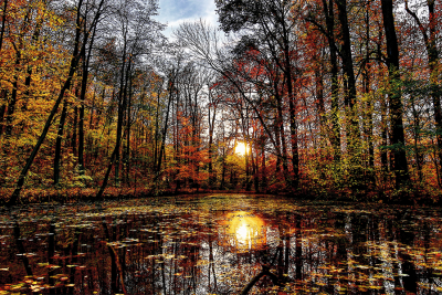 Von Herbstbäumen umkreister See, welcher den Sonnenuntergang spiegelt