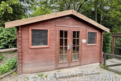 Das sind die neue Bewohner im Holzhaus des Zoo der Minis Aue - Die Strupphühner sind im Holzhaus im Auer Zoo der Minis eingezogen. Foto: Ralf Wendland