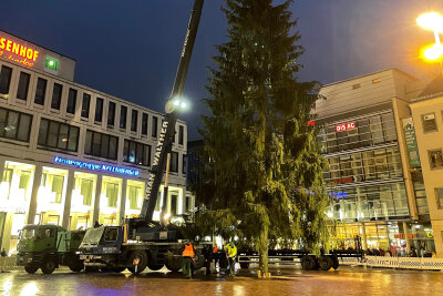 Der Chemnitzer Weihnachtsbaum rollt an: Liveticker zum Transport - Auch im vergangenen Jahr kamen zahlreiche Chemnitzer zum Aufbau des Weihnachtsbaums. Foto: Katja Lippmann-Wagner 