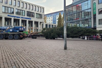 Der Chemnitzer Weihnachtsbaum rollt an: Liveticker zum Transport - Ziel erreicht: Auf dem Markt. Foto: Katja Lippmann-Wagner 