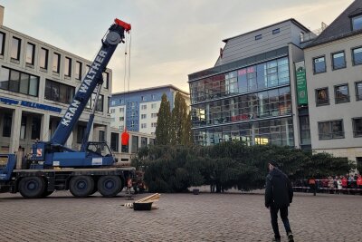 Der Chemnitzer Weihnachtsbaum rollt an: Liveticker zum Transport - Aufbau. Foto: Katja Lippmann-Wagner 