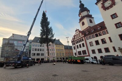 Der Chemnitzer Weihnachtsbaum rollt an: Liveticker zum Transport - Der fliegende Baum. Foto:Katja Lippmann-Wagner 