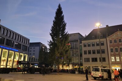 Der Chemnitzer Weihnachtsbaum rollt an: Liveticker zum Transport - Der Baum steht. Foto: Katja Lippmann-Wagner 