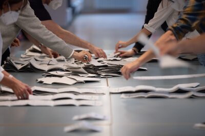 Der Wahltermin steht - das sind die nächsten Schritte - Der Termin für die vorgezogene Bundestagswahl steht. (Archivbild)