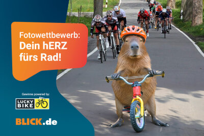 Die Gewinner des Fotowettbewerbs "Dein hERZ fürs Rad" stehen fest! - Unter dem Motto "Dein hERz fürs Rad" wurde ein Fotowettbewerb gestartet, bei dem Zuschauende und Fans der Erzgebirgsrundfahrt und des Radsports ihr schönstes Foto hochladen konnten.