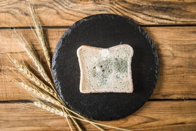 Die richtige Lagerung: So bleibt Brot länger frisch - Wenn man Schimmel sieht, ist es zu spät: Das Brot muss weg.