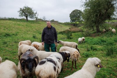 Diese schwulen Böcke lieben, wen sie wollen - Michael Stücke ist der Hüter der nach seinen Angaben ersten schwulen Schafherde Deutschlands (Foto aktuell).