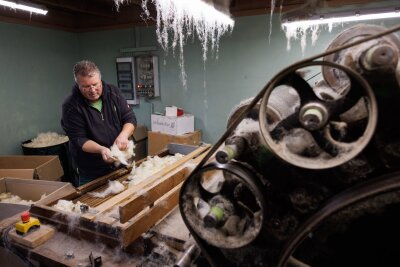 Diese schwulen Böcke lieben, wen sie wollen - Michael Stücke verarbeitet die Wolle seiner schwulen Schafe selbst und nutzt dafür ein über 100 Jahre altes Gerät (Foto aktuell).