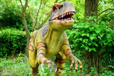 Am Sonntag kann man in Limbach-Oberfrohna zu einer Dinosaurier-Ausstellung gehen. Symbolbild.