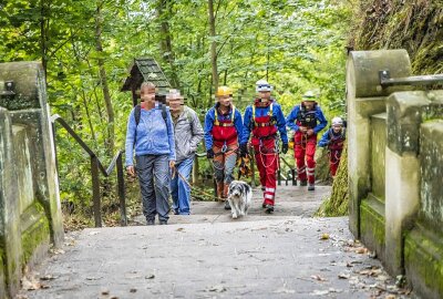 Drama in der Sächsischen Schweiz: Hund springt von Basteibrücke - Zwei Touristen aus Bayern waren in der Sächsischen Schweiz wandern, als das Unglück geschah. Foto: Marko Förster