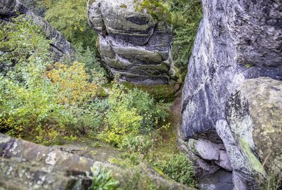 Drama in der Sächsischen Schweiz: Hund springt von Basteibrücke - 20 Meter in die Tiefe sprang der Hund. Foto: Marko Förster