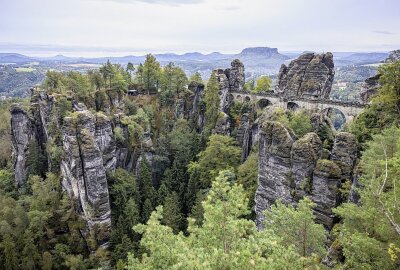 Drama in der Sächsischen Schweiz: Hund springt von Basteibrücke - Das Unglück ereignete sich bei den Basteibrücken. Foto: Marko Förster