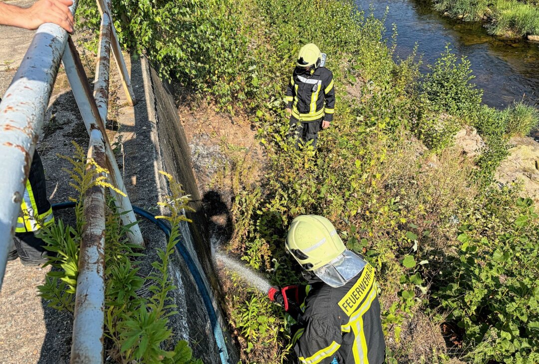 Drei Einsätze innerhalb einer Stunde: Schwerstarbeit für die Feuerwehr Aue - Am Mittwochnachmittag kam es zu einem Böschungsbrand in Aue. Foto: Niko Mutschmann