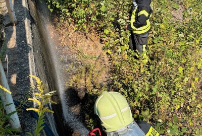 Drei Einsätze innerhalb einer Stunde: Schwerstarbeit für die Feuerwehr Aue - Am Mittwochnachmittag kam es zu einem Böschungsbrand in Aue. Foto: Niko Mutschmann