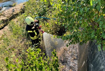 Drei Einsätze innerhalb einer Stunde: Schwerstarbeit für die Feuerwehr Aue - Am Mittwochnachmittag kam es zu einem Böschungsbrand in Aue. Foto: Niko Mutschmann