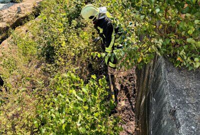 Drei Einsätze innerhalb einer Stunde: Schwerstarbeit für die Feuerwehr Aue - Am Mittwochnachmittag kam es zu einem Böschungsbrand in Aue. Foto: Niko Mutschmann