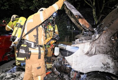 Dresden: Stehender Sprinter steht in Flammen - In Dresden brannte am Freitagabend ein Sprinter aus. Foto: Roland Halkasch