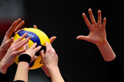 Dresdner Volleyballerinnen in Erfolgsspur zurück - Die Dresdner Volleyballerinnen gewinnen gegen Potsdam und feiern den siebten Sieg im achten Spiel.