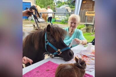 Ein Tag der Lebensfreude: Pflegeheim zu Besuch auf der Tierfarm in Lichtenau - Am Tisch mit Pony, Kaninchen, Katze und Co. - ein schönes Erlebnis für die Bewohnerinnen und Bewohner des Pflegeheims.