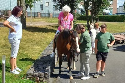 Ein Traum vom Reiten wird wahr: 87-jährige auf Pferderücken - Die Garnsdorfer Tierfarm, bekannt für ihre engagierte Arbeit mit Tieren in Not, war zu Besuch.