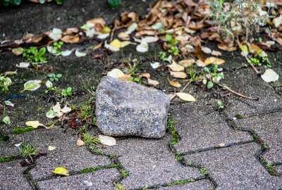 Einbruchsserie in Aue: Zwei Jugendliche festgenommen - Einbruchsserie in Aue: Zwei Jugendliche festgenommen. Foto: Niko Mutschmann