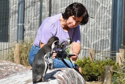 Eine Chemnitzerin und ihre besonderen Momente mit den Tieren - Durch Besuche des Tierparks wurde sie auf die Tierpatenschaften, die man dort abschließen kann, aufmerksam. Foto: Maik Bohn