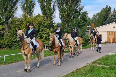 Einladung zur 3. Fuchsjagd auf dem Haflingerhof in Chemnitz-Draisdorf - Am 12. Oktober lädt die Familie Bonitz zur 3. Fuchsjagd auf dem Gelände des 1. Chemnitzer Reit- und Fahrvereins e.V. ein.