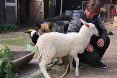 Eis essen für den guten Zweck: Chemnitzer Pflegezentrum spendet Erlöse an Tierfarm - Schon seit einigen Jahren besucht Ivonne Sarfert, die Leiterin der Tierfarm in Lichtenau, mit ihren Tieren umliegende Pflegeheime und Kindereinrichtungen