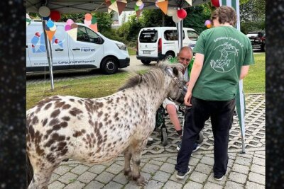 Eis essen für den guten Zweck: Ein voller Erfolg im Senterra Pflegezentrum - Eis essen für den guten Zweck: Ein voller Erfolg im Senterra Pflegezentrum