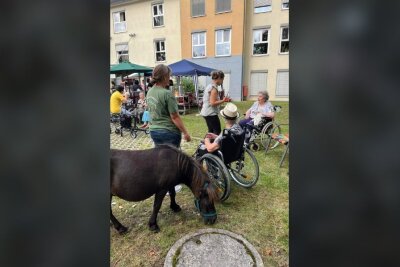 Eis essen für den guten Zweck: Ein voller Erfolg im Senterra Pflegezentrum - Eis essen für den guten Zweck: Ein voller Erfolg im Senterra Pflegezentrum