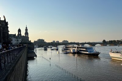 Die Dampferflotte in Dresden wird aufgrund des Hochwassers noch eine Weile pausieren. Foto: privat