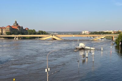 Derzeit liegt der Pegel der Elbe in Dresden zwischen 608 Zentimeter und 610 Zentimeter. Foto: privat