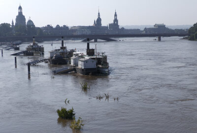 Elbpegel in Dresden steigt weiter an: Menschen trotzen dem Hochwasser - Laut Experten soll der Pegelstand der Elbe diese Nacht den Höhepunkt erreichen. Foto: Bernd März