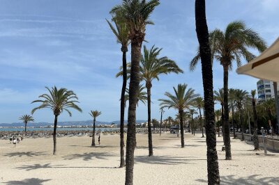 Erlebnisreise: Mit dem Auto durch Mallorca - Der Strand in S'Arenal. Foto: Hermine Möckel