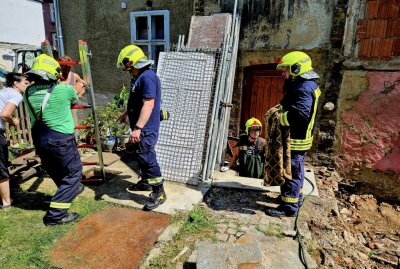 Erneute Tierrettung in Annaberg-Buchholz: Feuerwehr rettet Hund aus Grube - Die Feuerwehr musste erneut einen Hund retten. Bildrechte: Bernd März