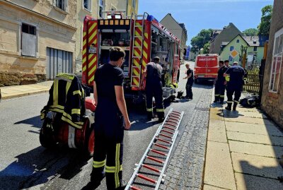 Erneute Tierrettung in Annaberg-Buchholz: Feuerwehr rettet Hund aus Grube - Die Feuerwehr musste erneut einen Hund retten. Bildrechte: Bernd März