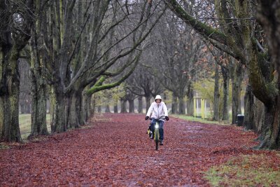 Erst stürmisch, dann kalt - Regen hier, Graupel dort - und auch Schnee könnte es in den kommenden Tagen geben.