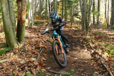 Oben im Wald ist der Trail mit Ästen markiert. Foto: Andreas Bauer