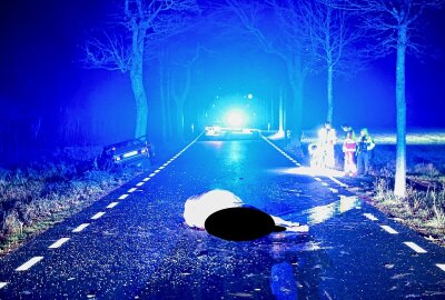 Erzgebirge: Pferd stirbt bei Kollision mit Porsche - Ein Pferd wurde frontal erfasst, über das Dach geschleudert und blieb auf der Straße liegen. Das Tier verstarb noch vor Ort. Foto: Marko Förster