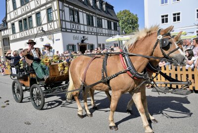 Erzgebirgischen Pferdetag und Zwönitzer Erntedank bei bestem Herbstwetter - Beim Umzug waren es diesmal knapp 40 Bilder. Foto: Ralf Wendland