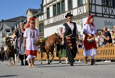 Erzgebirgischen Pferdetag und Zwönitzer Erntedank bei bestem Herbstwetter - Beim Umzug waren es diesmal knapp 40 Bilder. Foto: Ralf Wendland