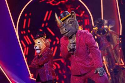 Ex-Handballspieler Pascal Hens bei "Masked Singer" enttarnt - Das Nashorn musste gehen: Der Italo-Macho und Türsteher konnte das Publikum nicht von sich überzeugen.