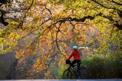 Fahrradfahren: So kommen Sie sicher durch den Herbst - Sicher durch den Herbst: Fahrradfahrer sollten auf passenden Reifendruck, eingeschaltetes Licht und gepflegte Bremsen und Ketten achten.